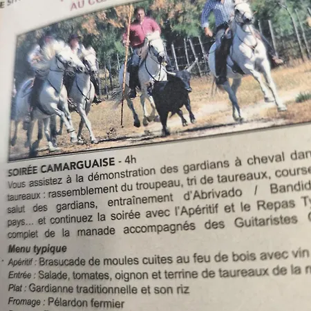 Lejlighed La Maison D Adelaide Saint-Laurent-dʼAigouze