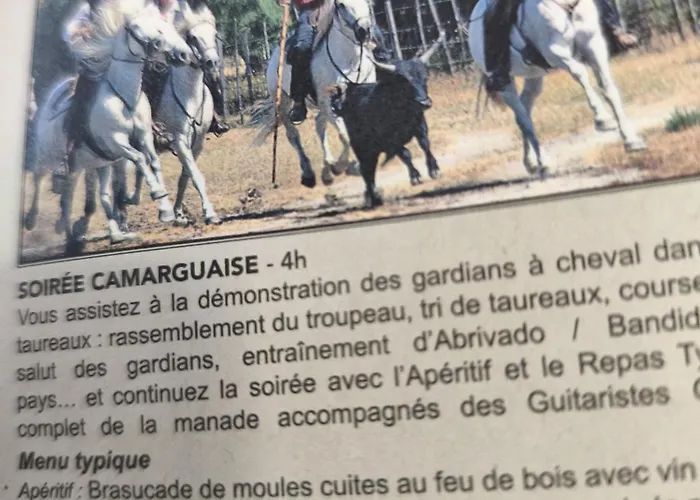 Appartement La Maison D Adelaide Saint-Laurent-dʼAigouze