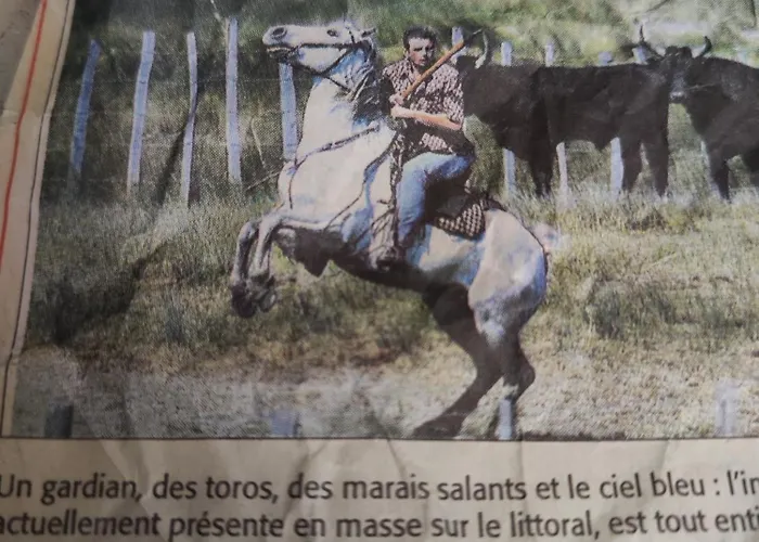 Appartement La Maison D Adelaide Saint-Laurent-dʼAigouze